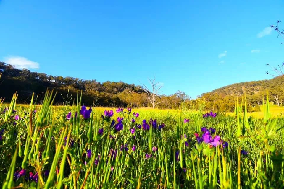 Additional image 15 of Lot 18 Hulks Road, Merriwa NSW 2329