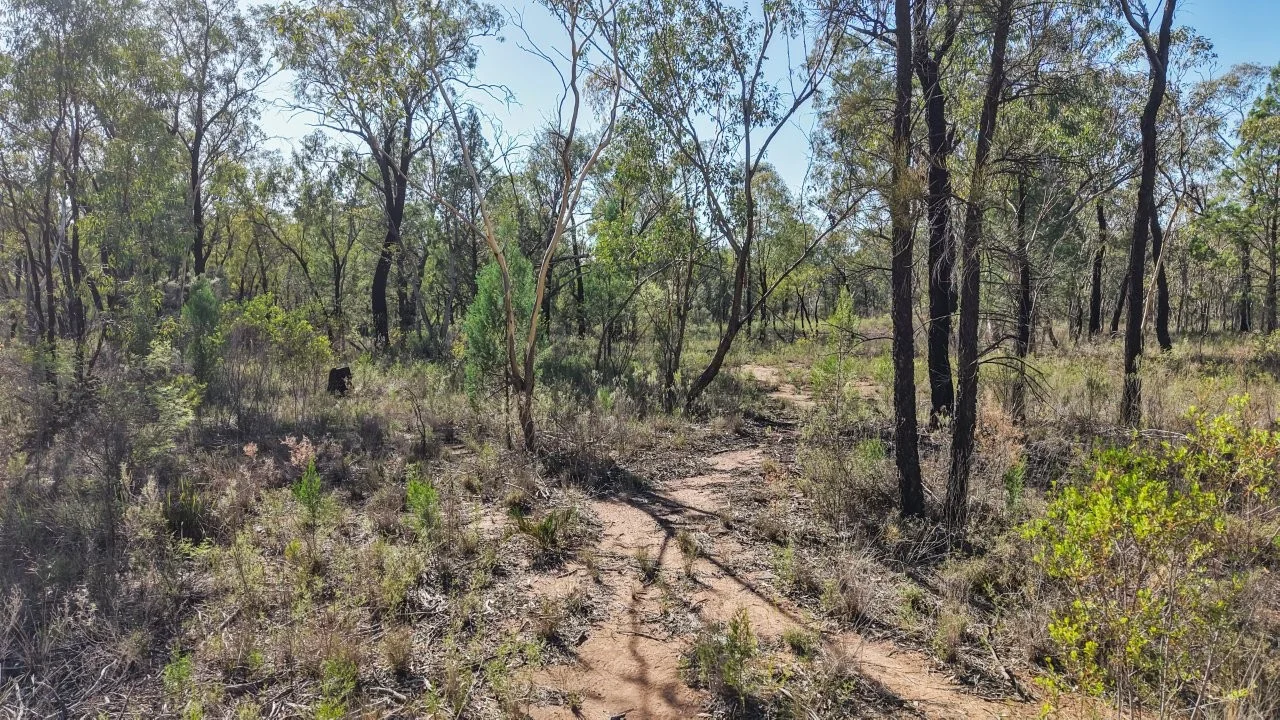 Additional image 9 of 47R Lagoon Creek Road, Minore NSW 2830