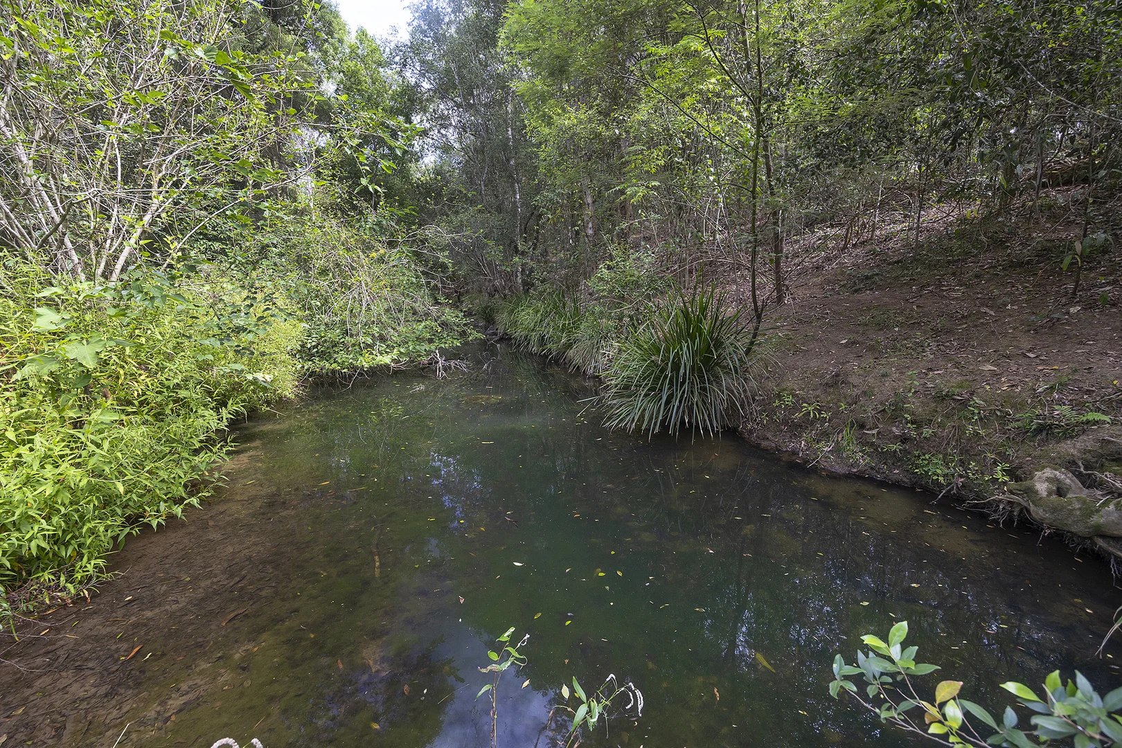 Additional image 28 of 494 Tipperary Road, Tipperary NSW 2429