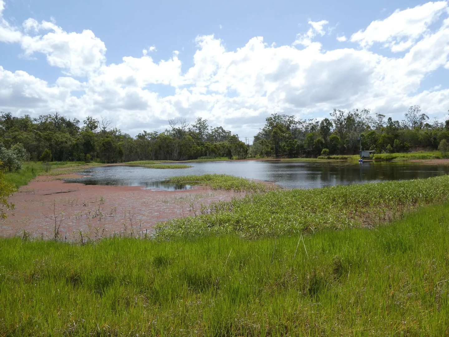 Additional image 10 of 3392 Childers Road, Gregory River QLD 4660