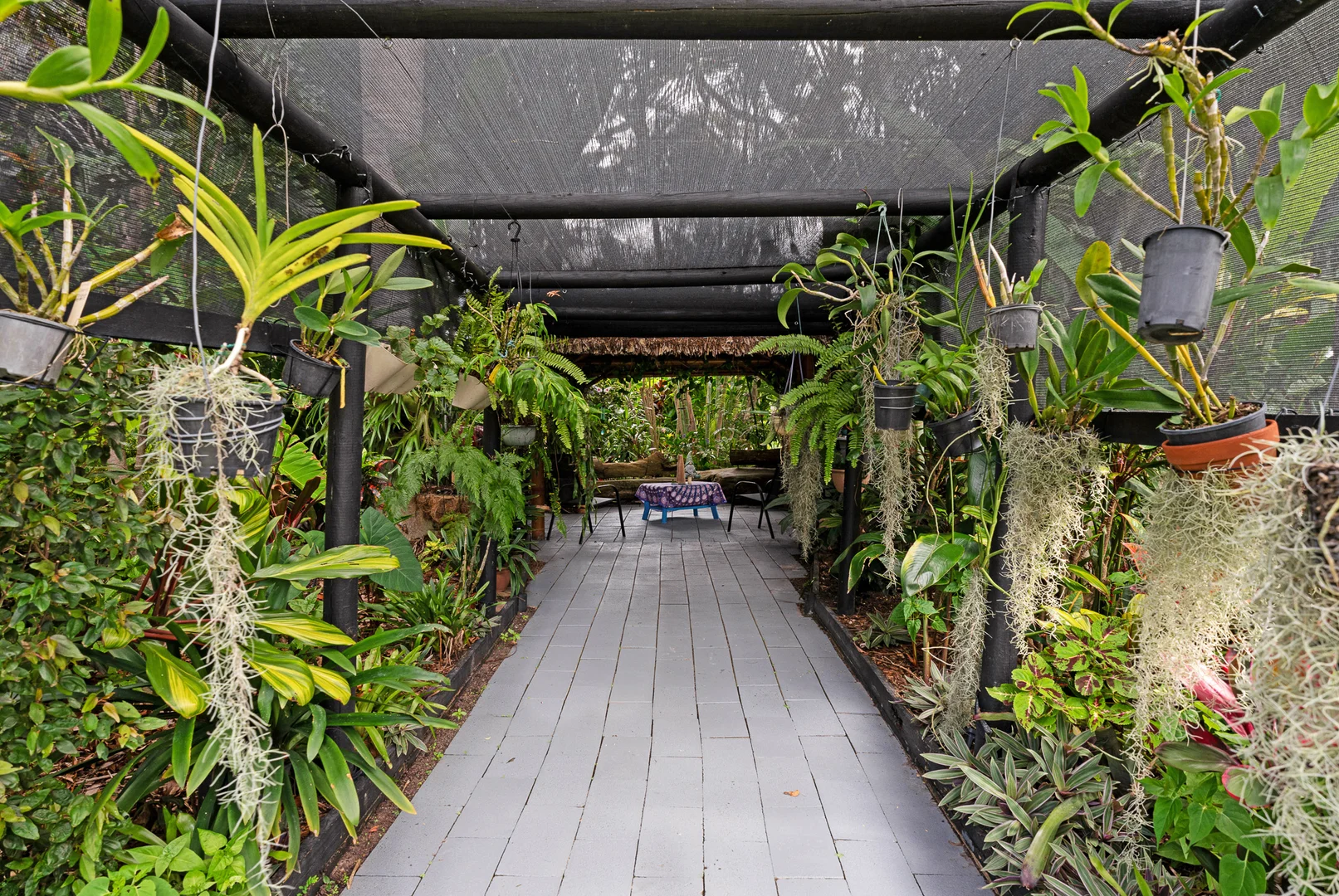 Additional image 21 of 19 Brooke Court, Oakhurst QLD 4650