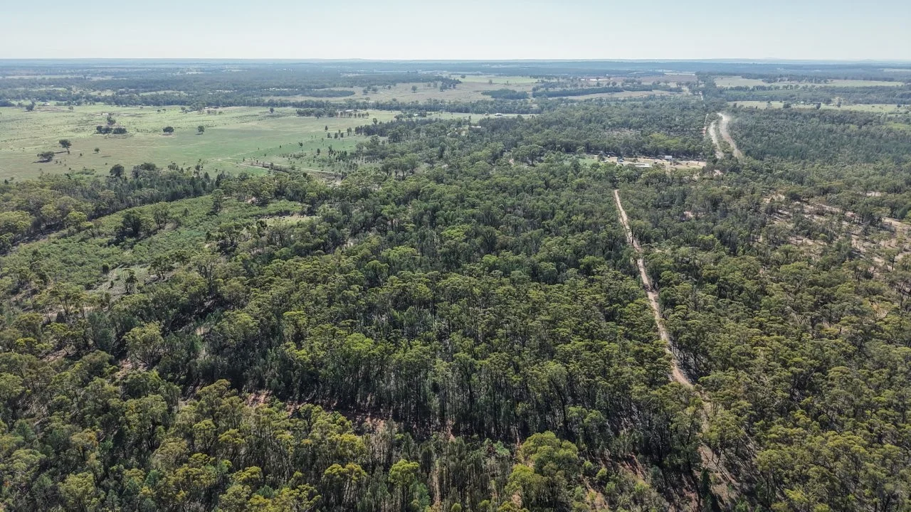 Additional image 11 of 47R Lagoon Creek Road, Minore NSW 2830