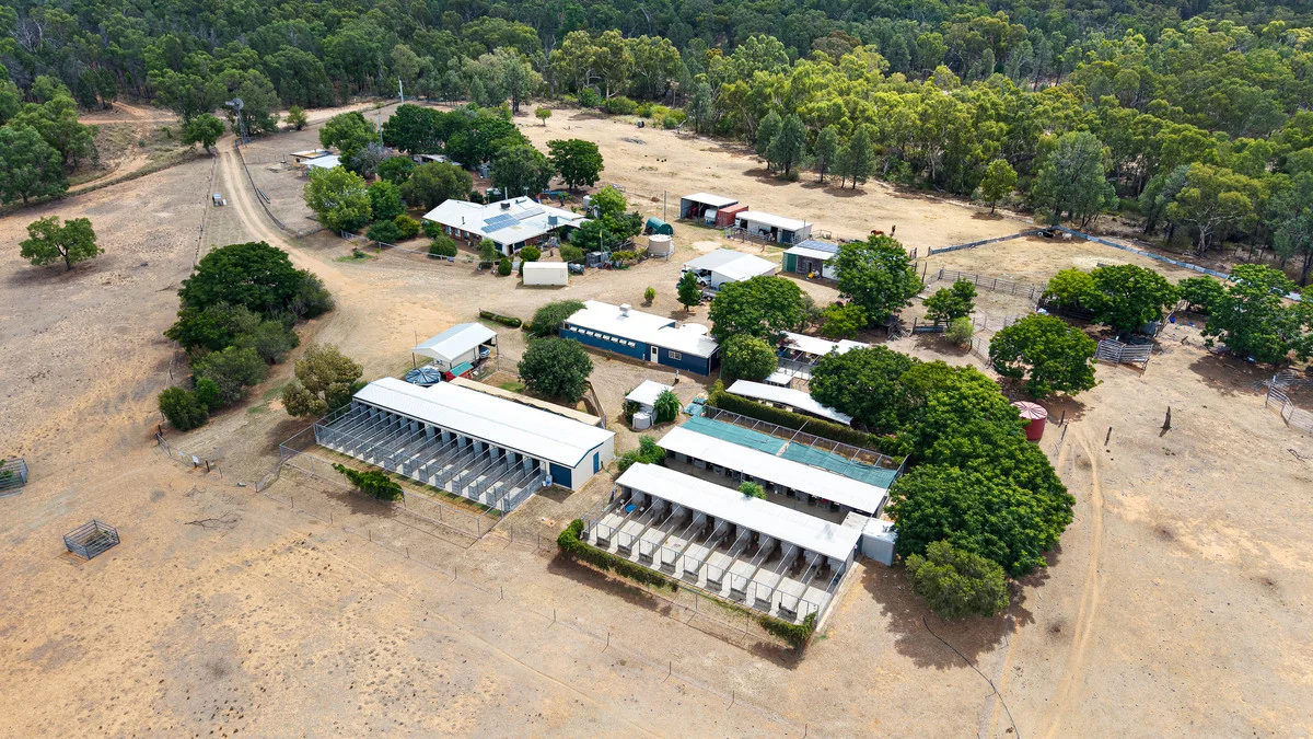 Additional image 3 of 9834 Newell Highway, Narrabri NSW 2390