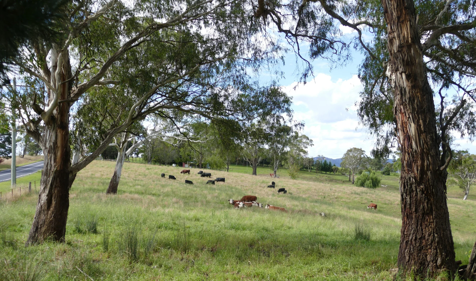 Additional image 20 of 873 Jenolan Caves Road, Good Forest NSW 2790