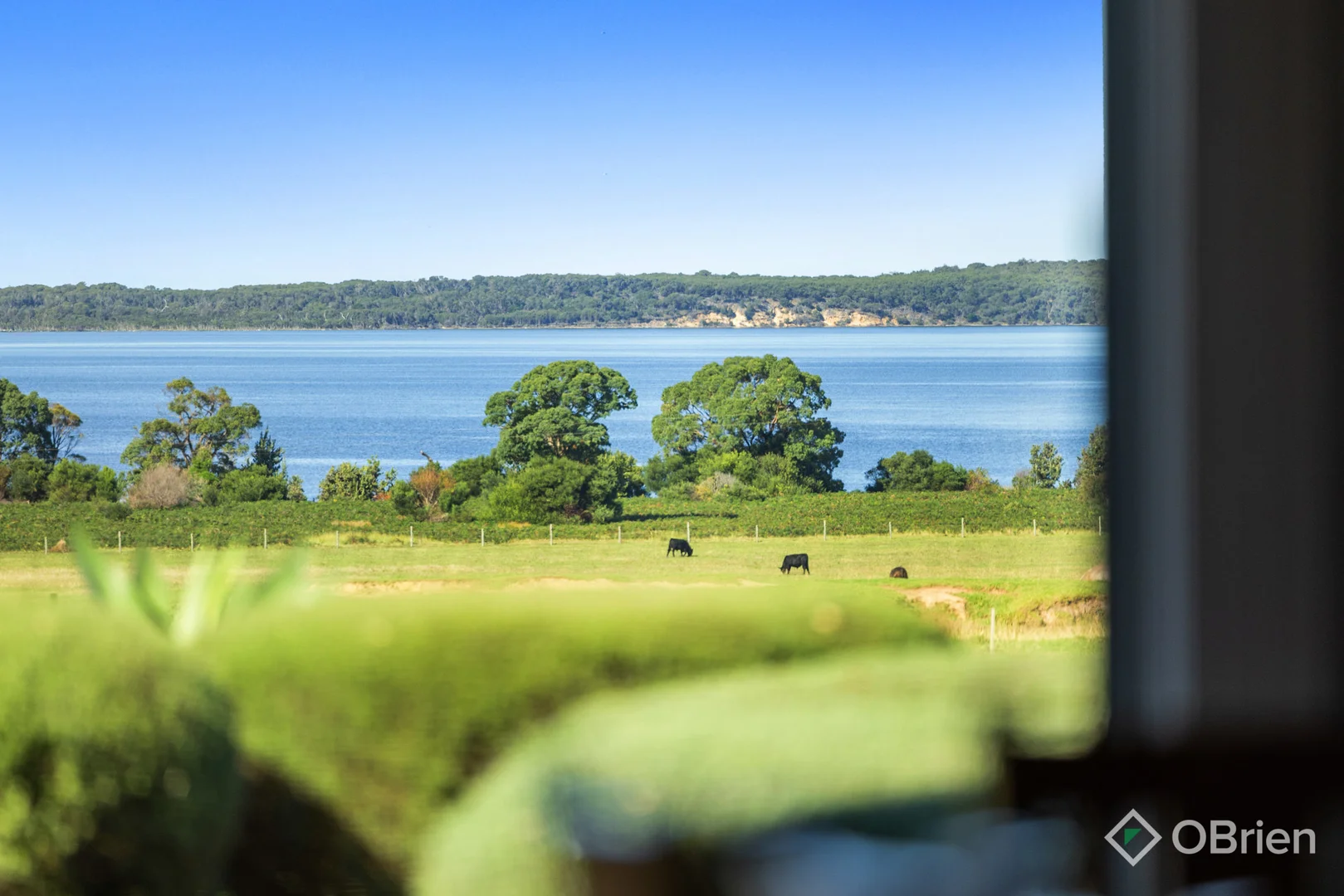 Additional image 5 of 125 Williamson Road, Forge Creek VIC 3875