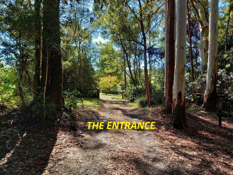 Additional image 4 of Dorrigo NSW 2453