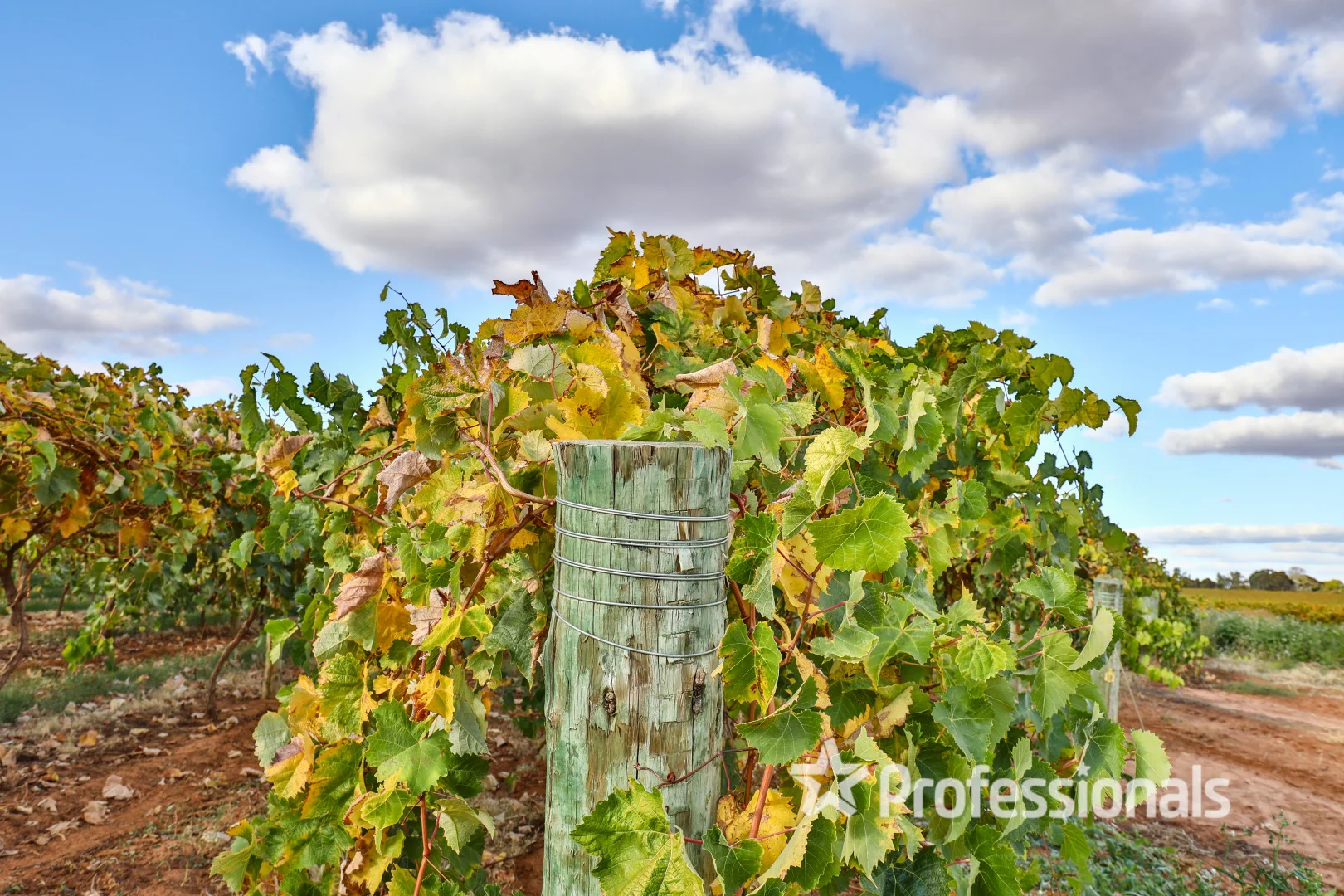 Additional image 5 of Lot 2 Myall Street, Cardross VIC 3496