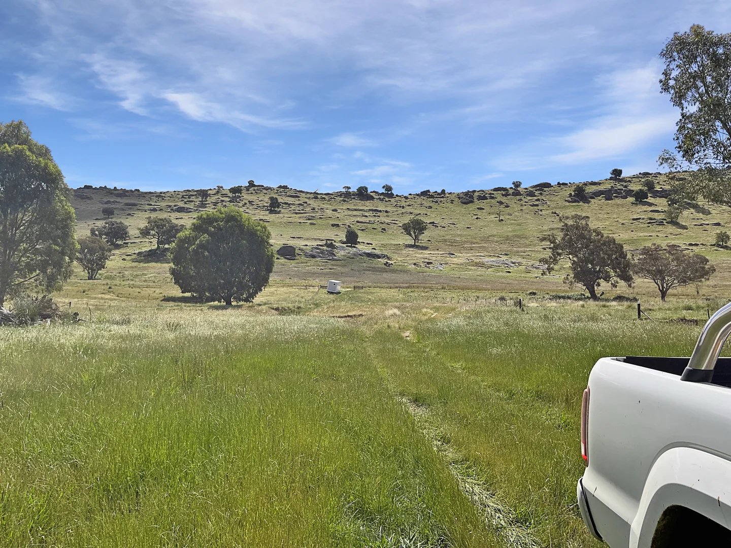 Additional image 6 of Mount Darling Road, Wyangala NSW 2808