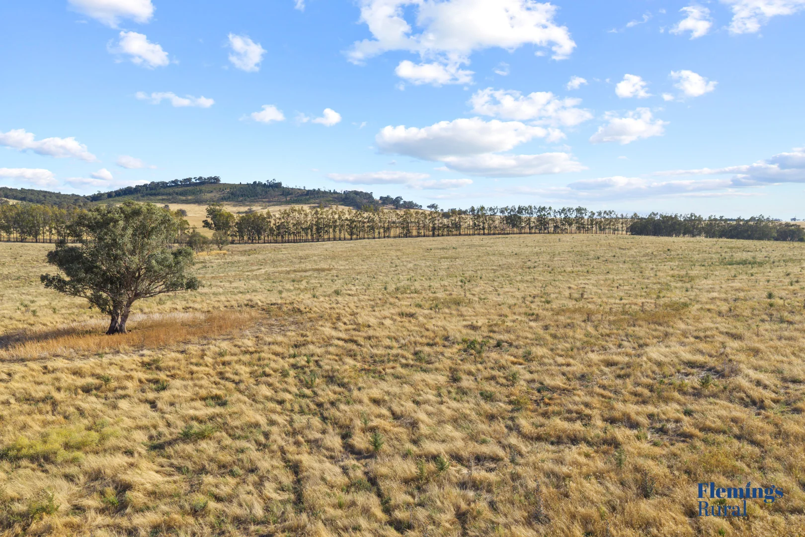 Additional image 8 of 145 Cusack Road, Boorowa NSW 2586