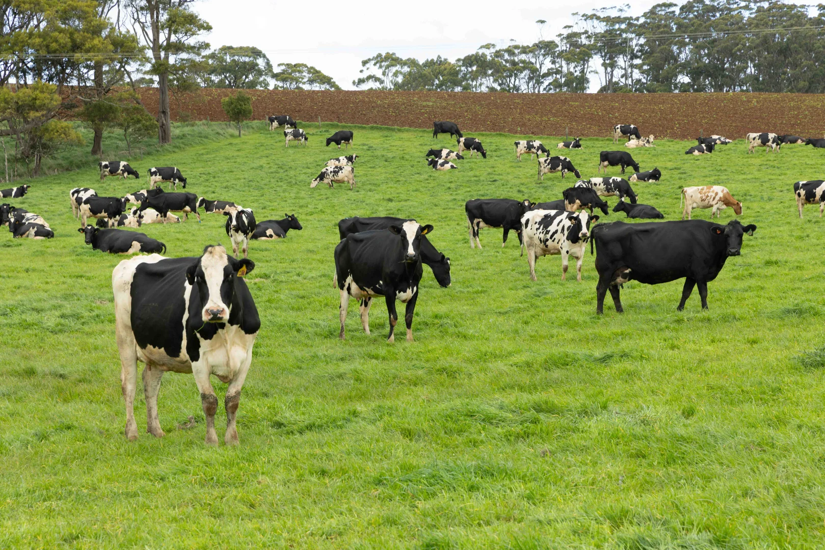 Additional image 13 of 99 Jocks Road, Forest TAS 7330