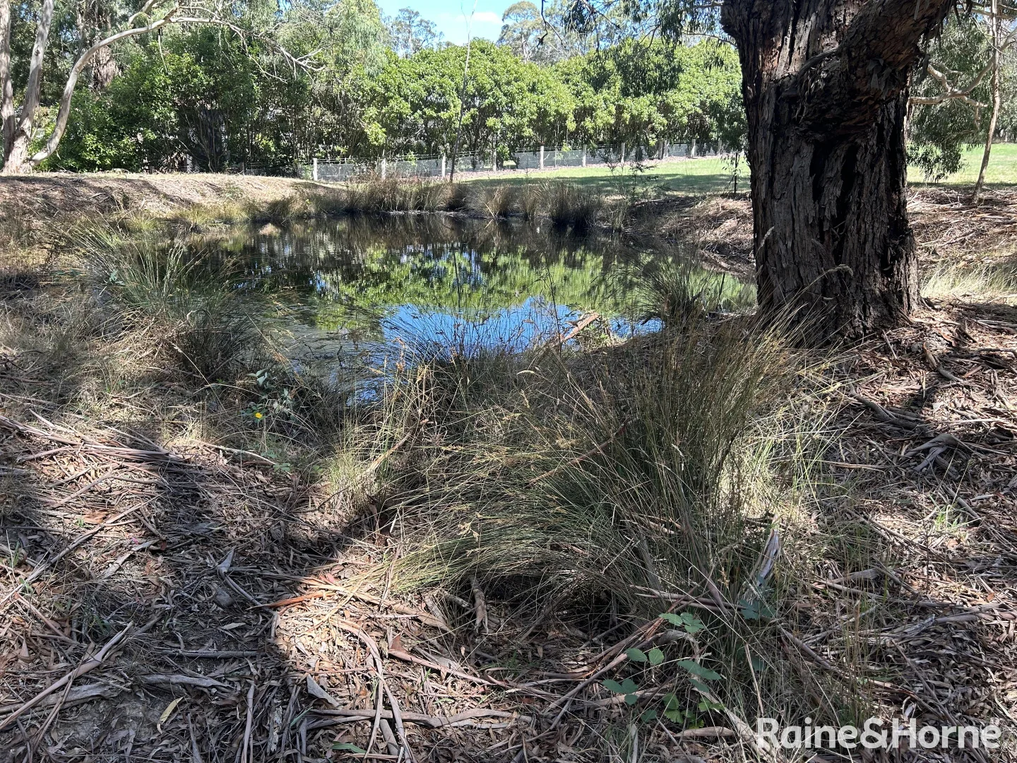 Additional image 8 of Lot 1 Black Forest Drive, Macedon VIC 3440