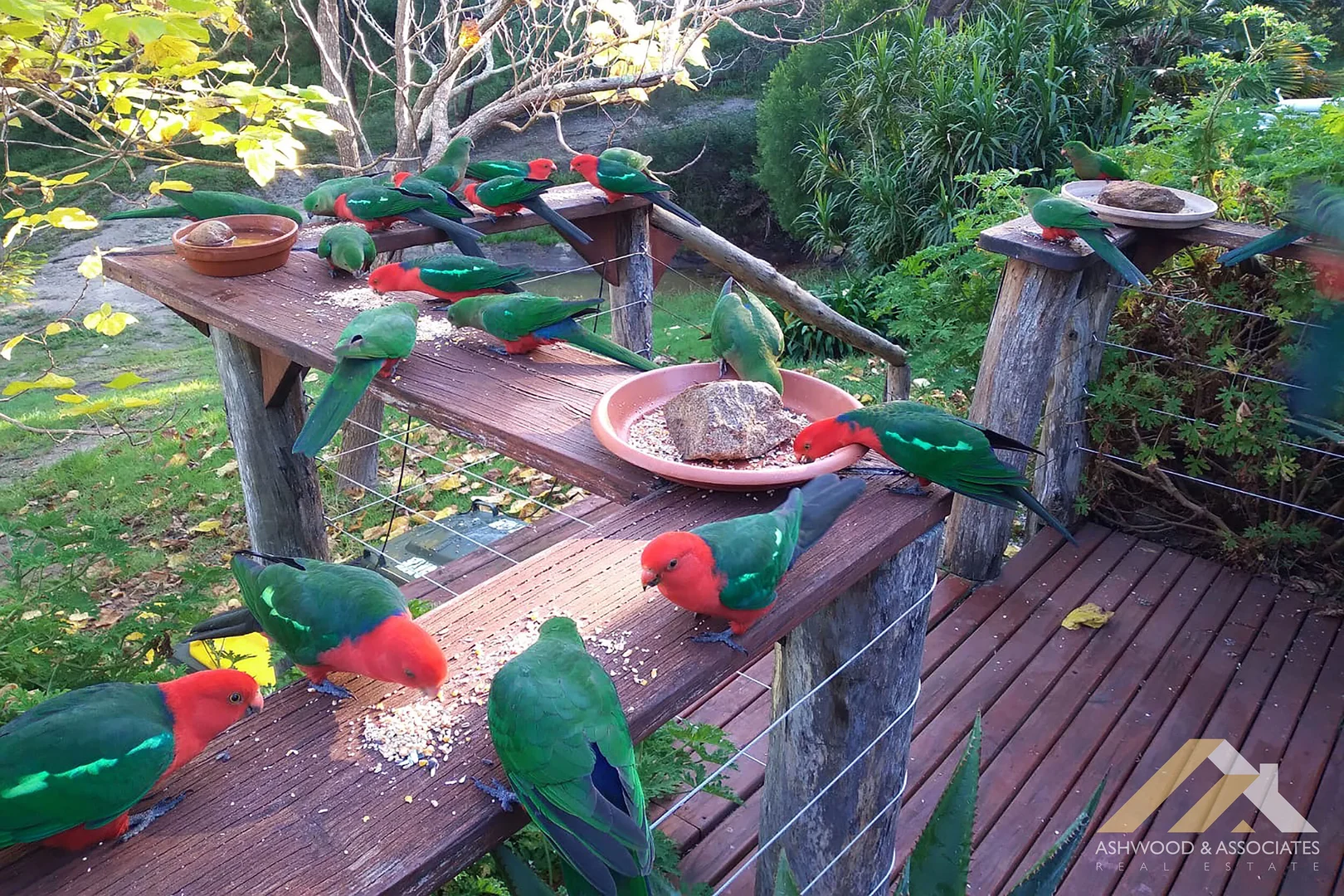 Additional image 36 of 274 Harrison Trk, Kalimna West VIC 3909