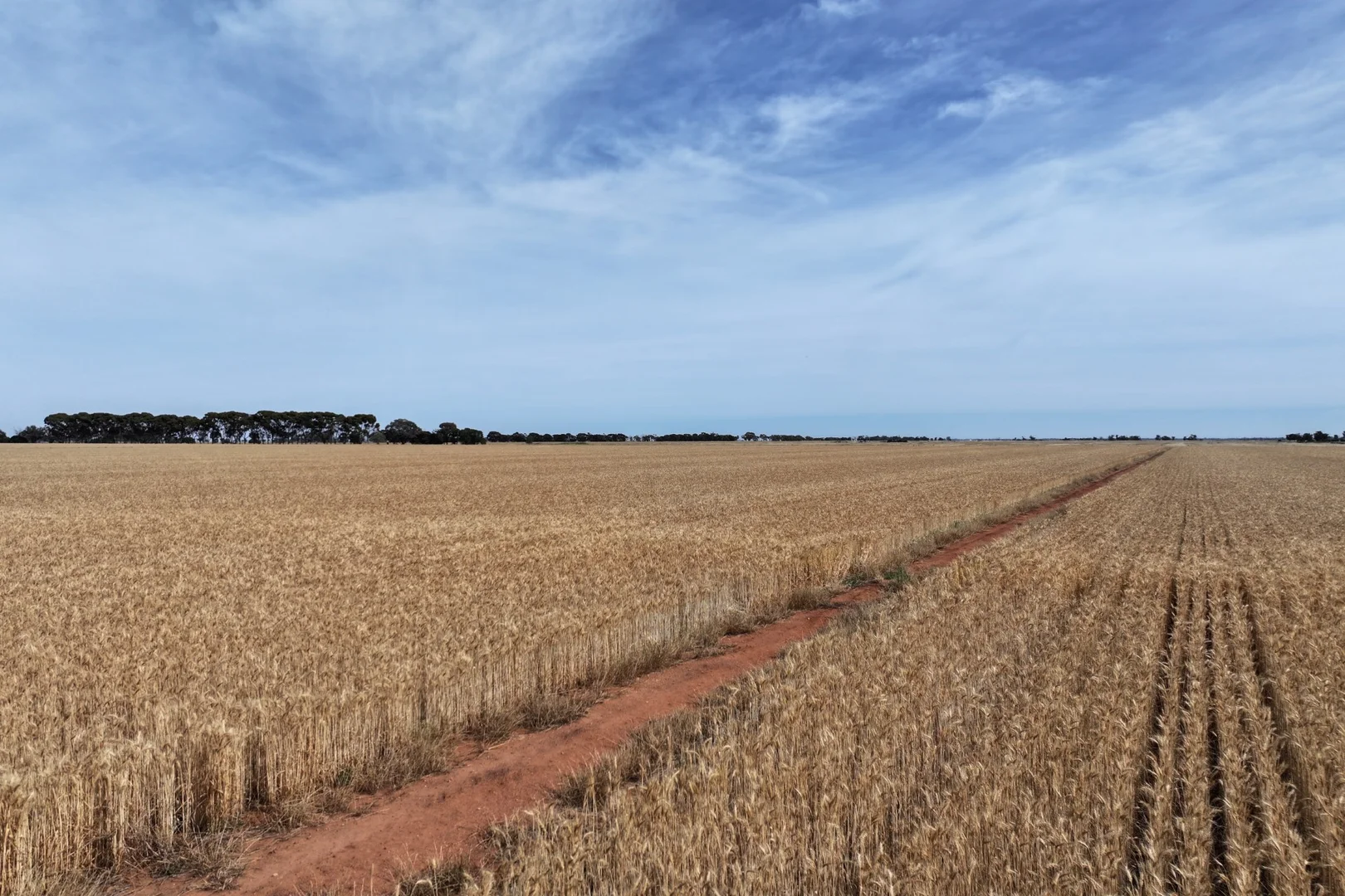 Additional image 4 of 1800 Mt Terrick Road, Roslynmead VIC 3564