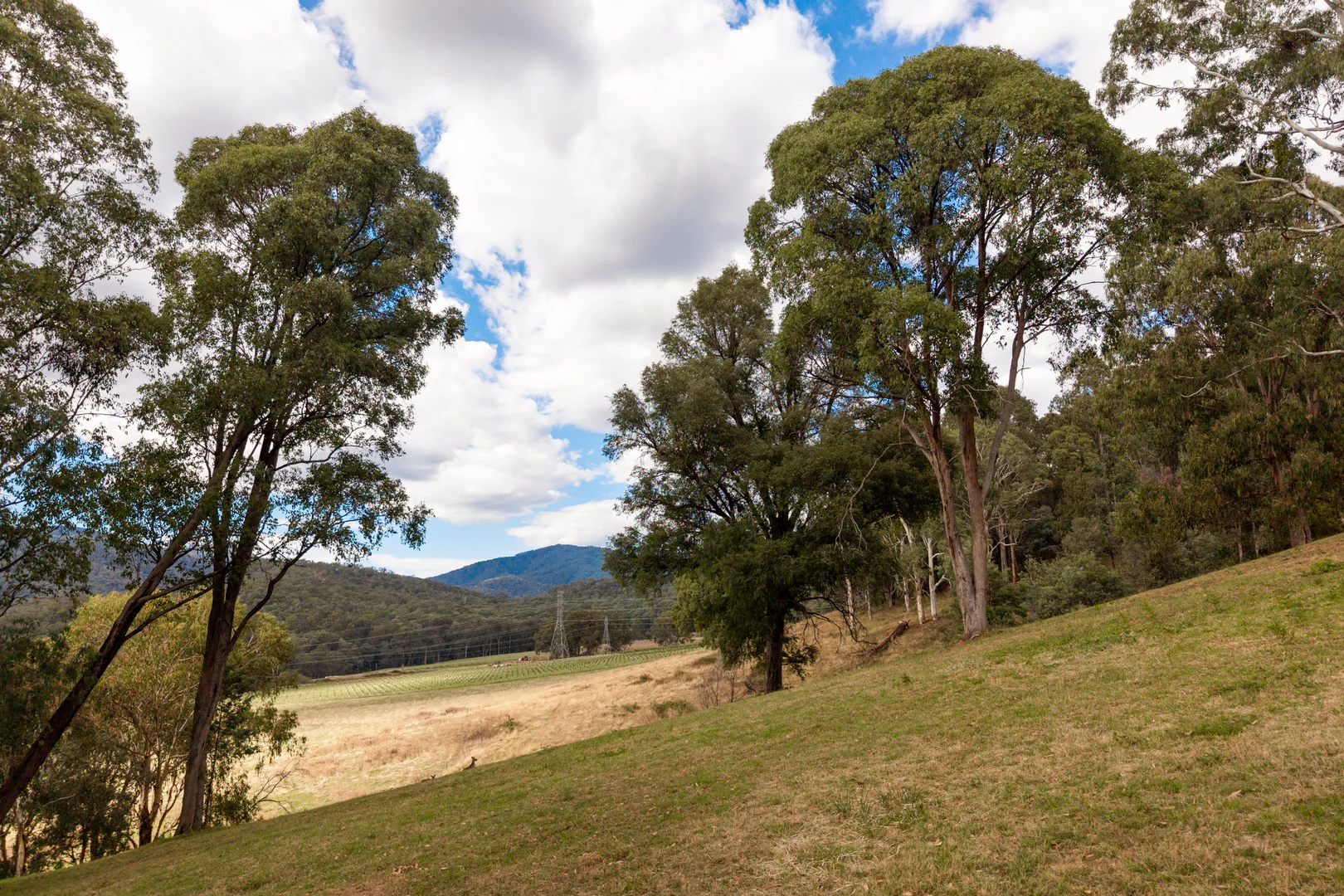 Additional image 5 of 27 Buckland Street, Tawonga South VIC 3698