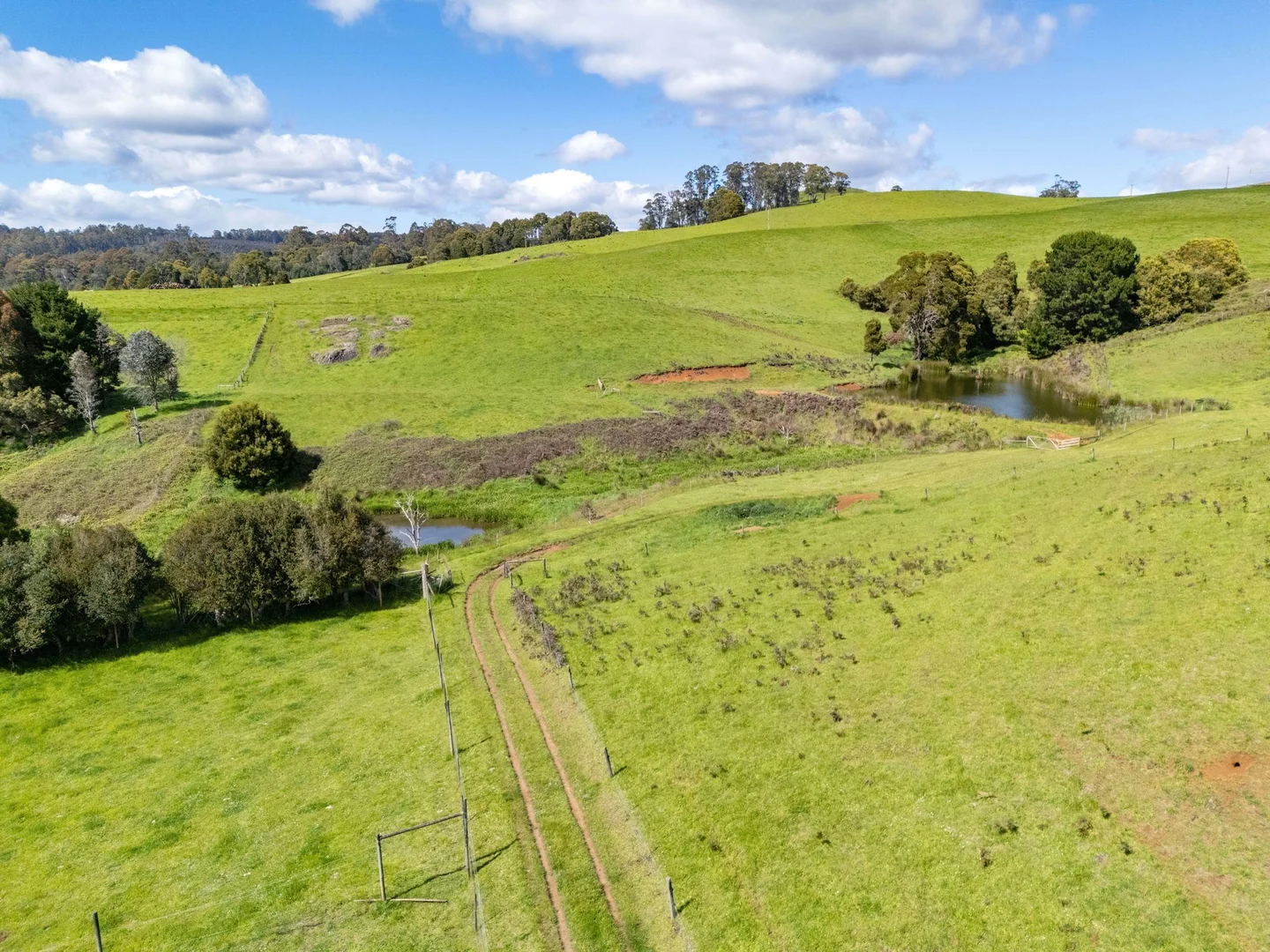 Additional image 48 of 309 West Ridgley Road, West Ridgley TAS 7321