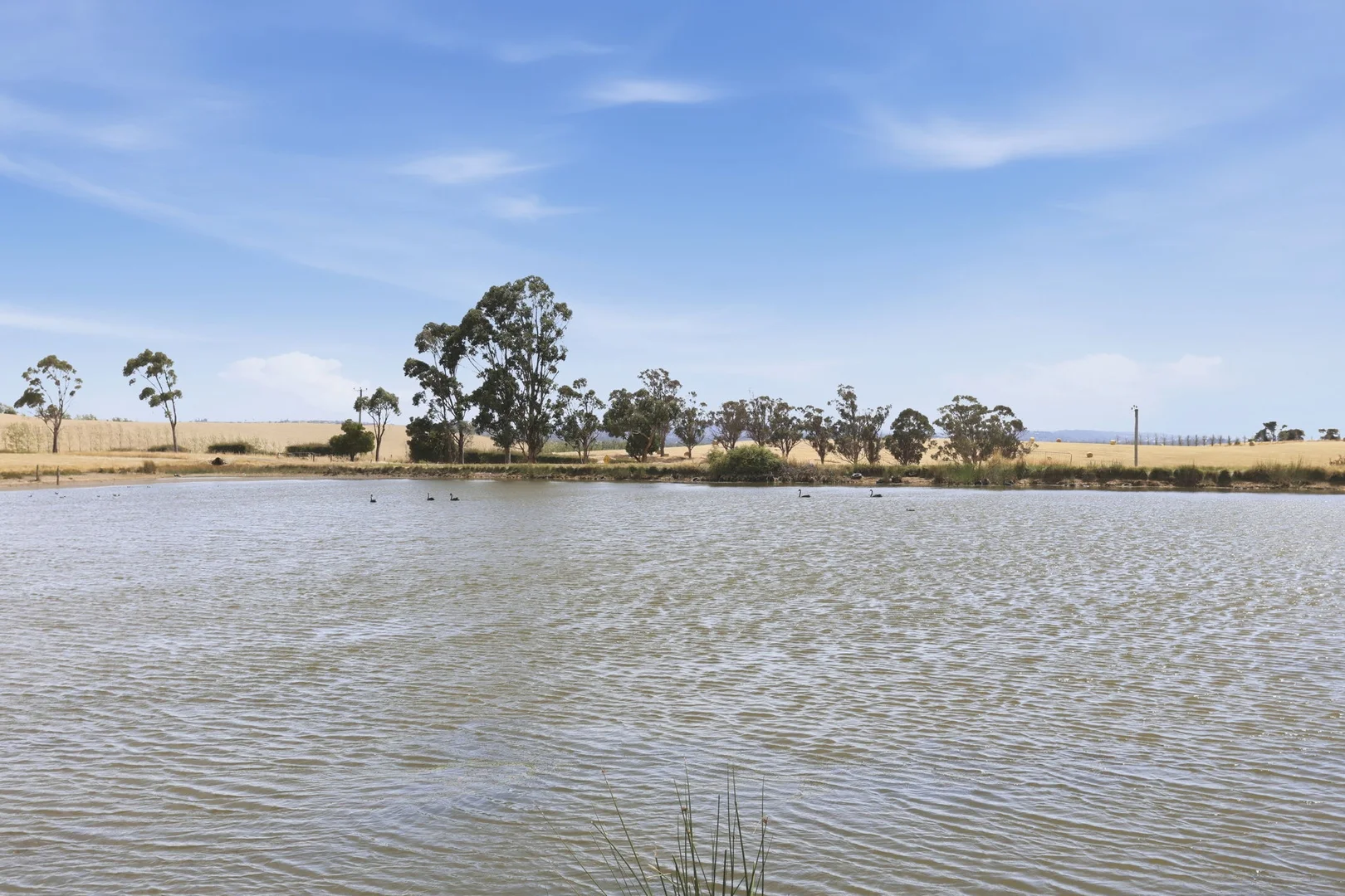 Additional image 15 of 25 White Hills Road, White Hills TAS 7258
