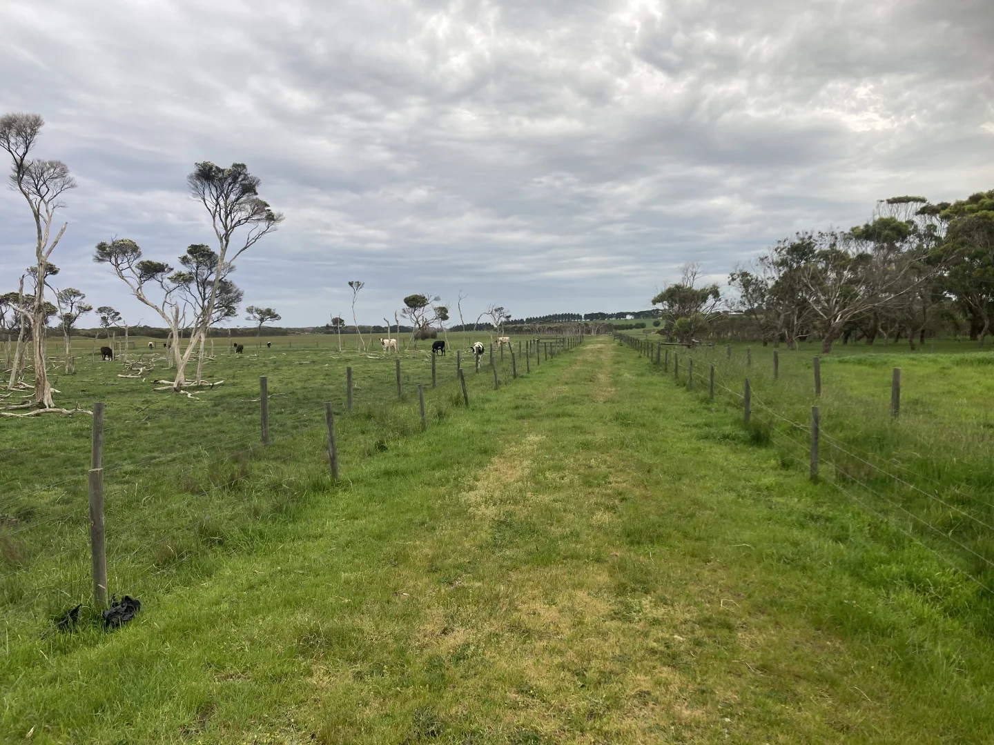 Additional image 12 of 4090 Bass Highway, Dalyston VIC 3992