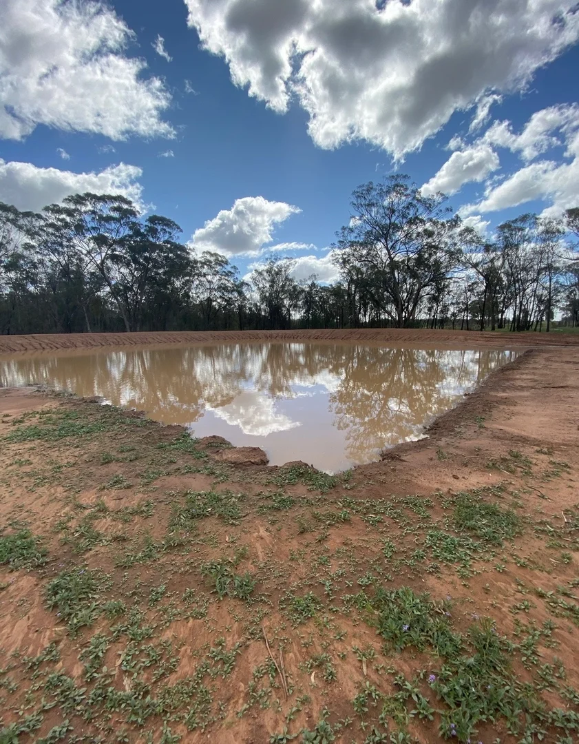 Additional image 17 of 47R Lagoon Creek Road, Minore NSW 2830