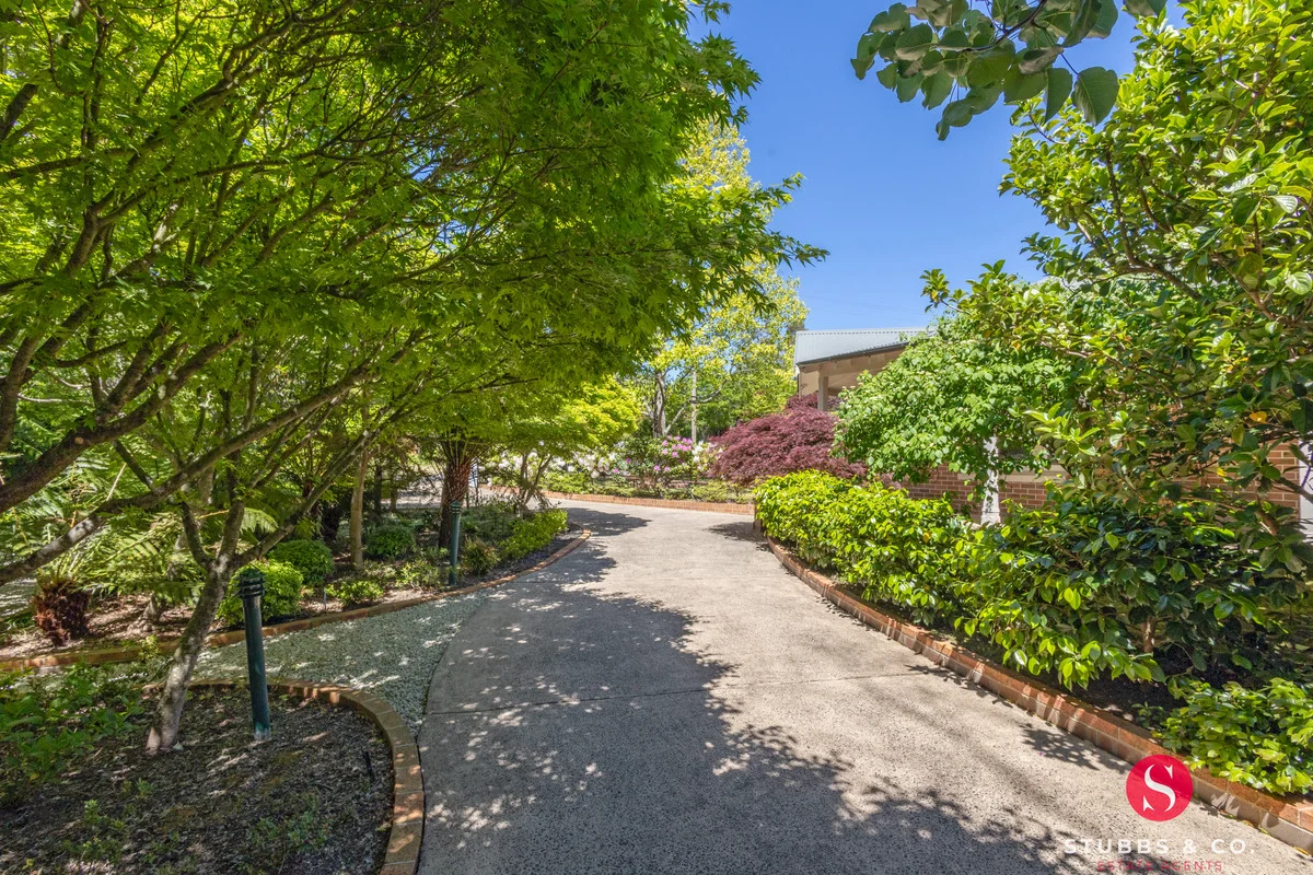 Additional image 22 of 47 Waratah Road, Wentworth Falls NSW 2782