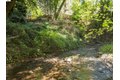 Additional image 28 of 15765 Kings Creek Rd, Boulder Creek, CA, 95006