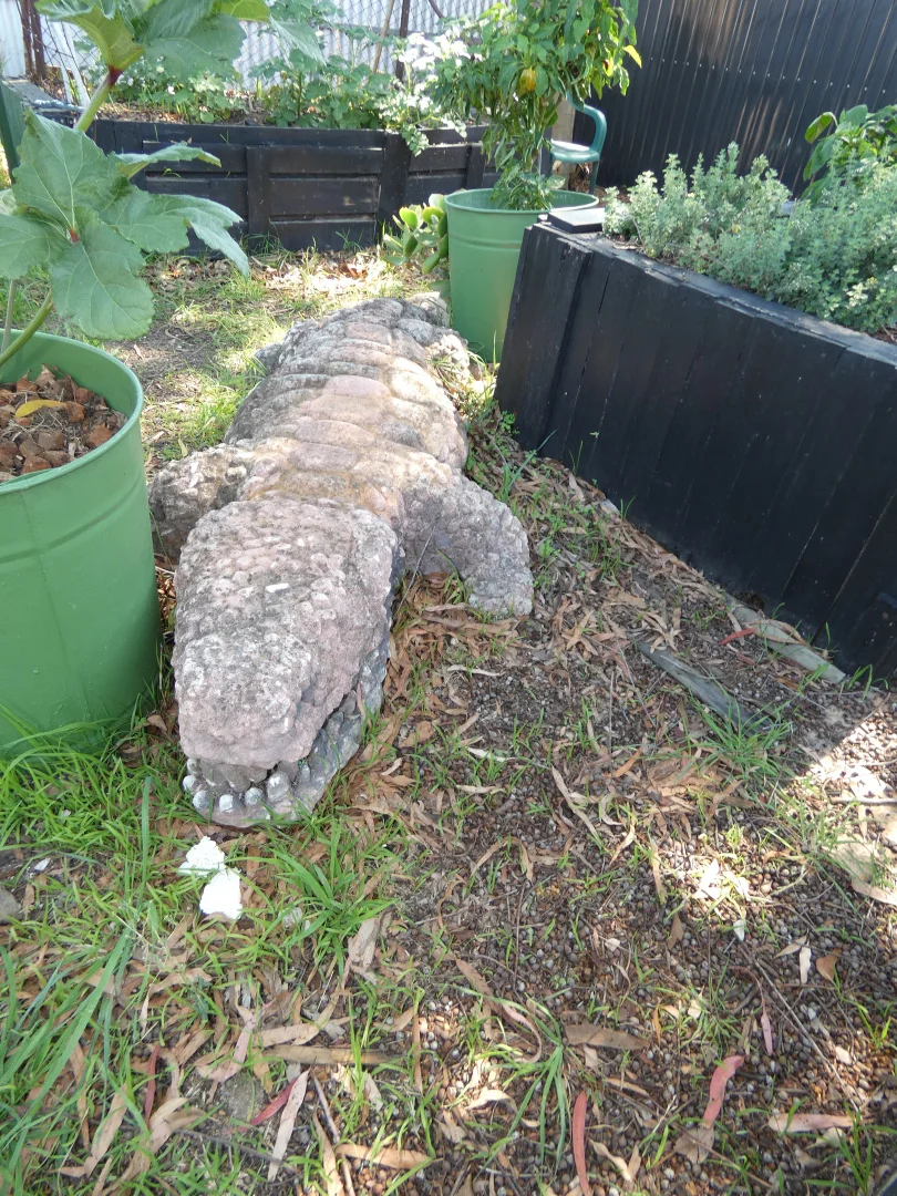 Additional image 18 of 16 McDonald Street, Murtoa VIC 3390