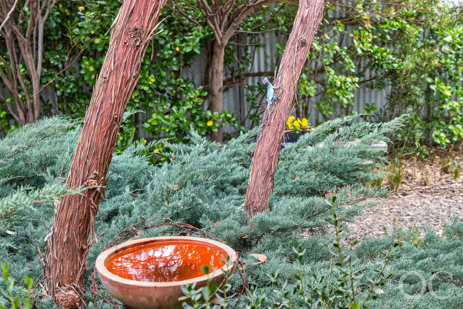 Additional image 36 of 62 Shepherd Avenue, Goolwa South SA 5214