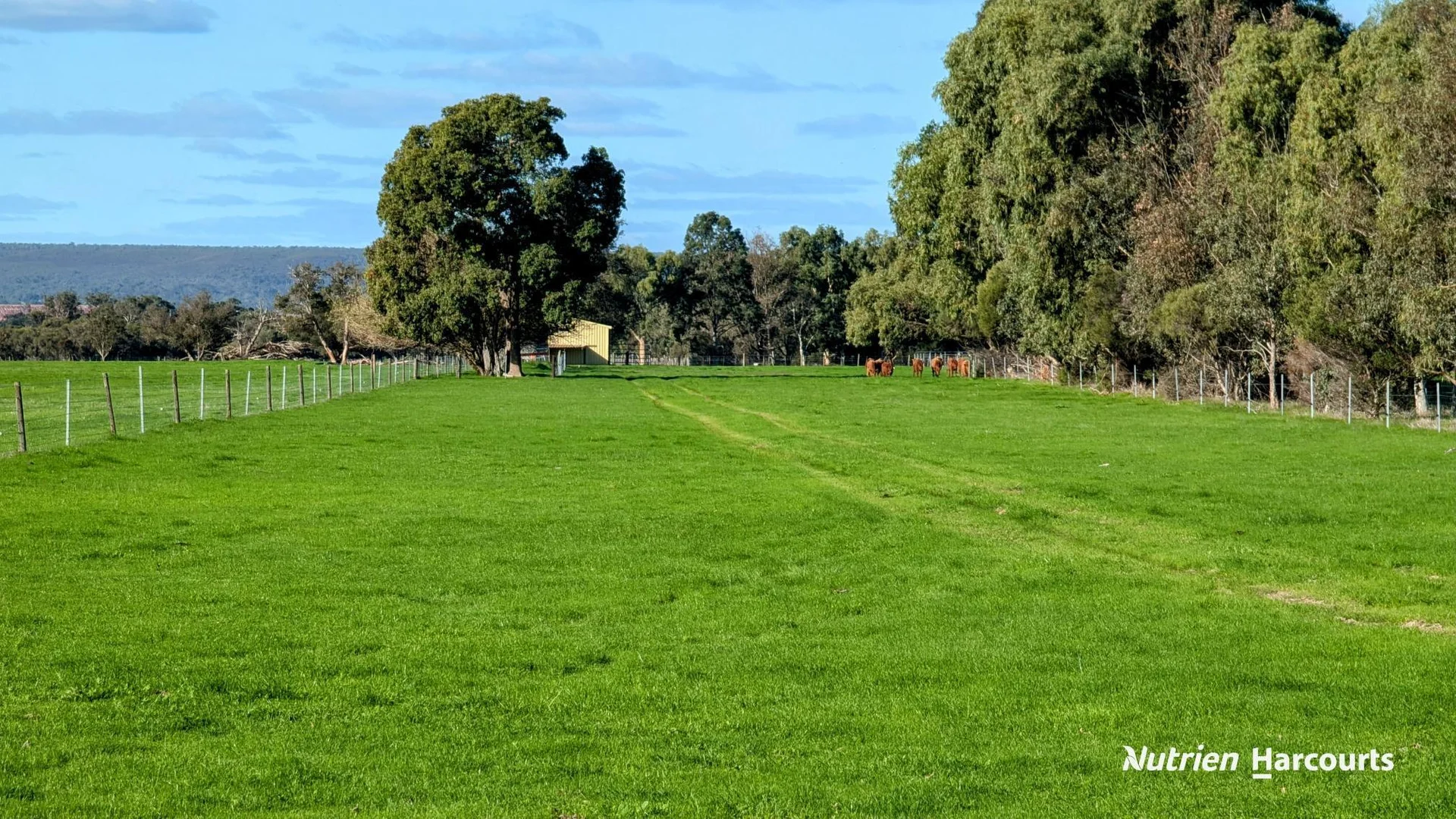 Additional image 39 of 271 Mayfield Road (Beermullah), Gingin WA 6503