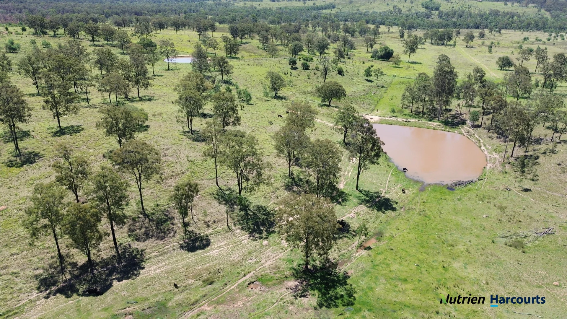 Additional image 25 of 960 Dangore Mountain Road, Dangore QLD 4610