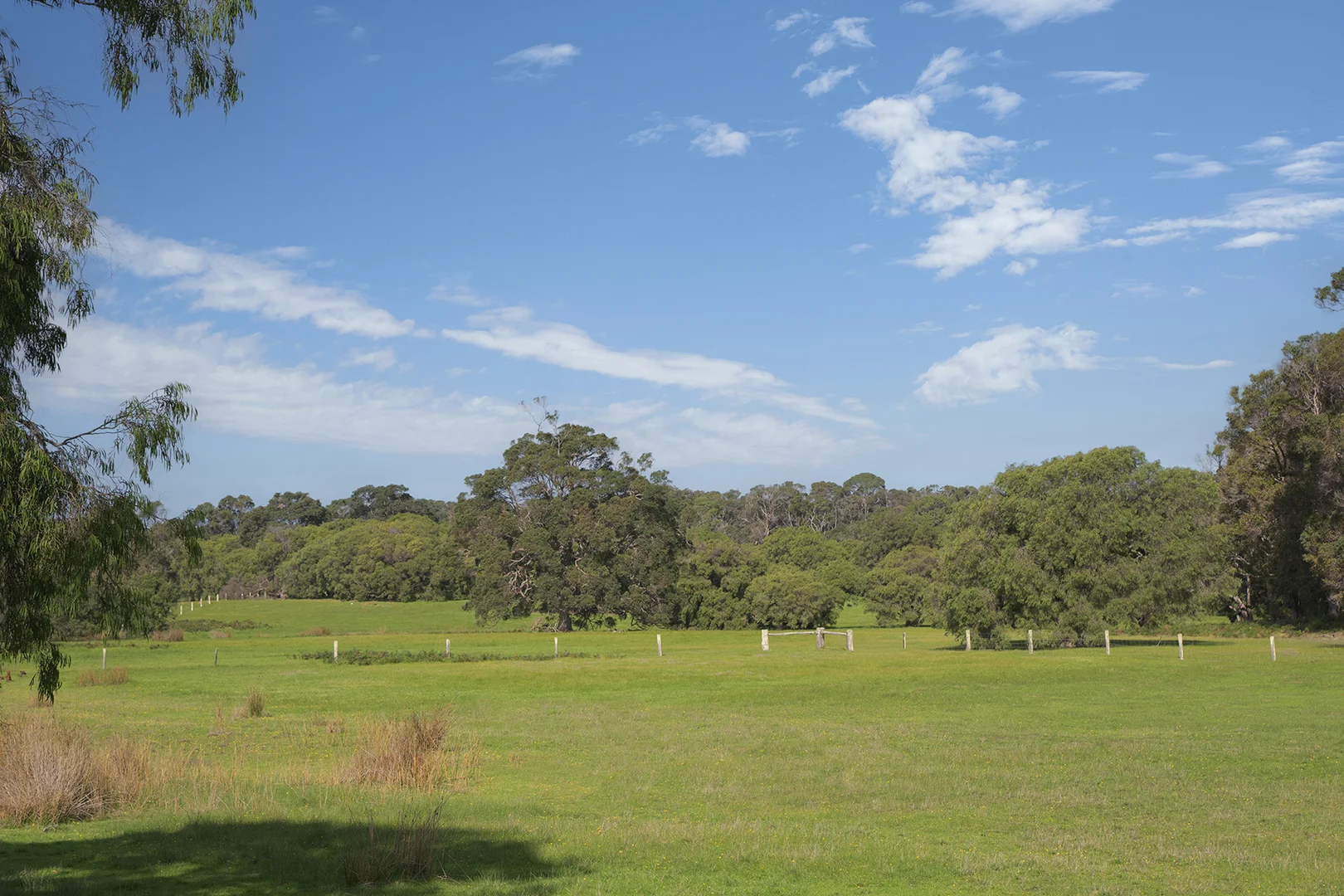 Additional image 11 of Stage 1B Blackwood Grove, Kudardup WA 6290