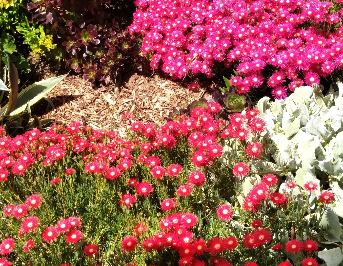 Additional image 26 of 6 Tantalla Street, Wedderburn VIC 3518