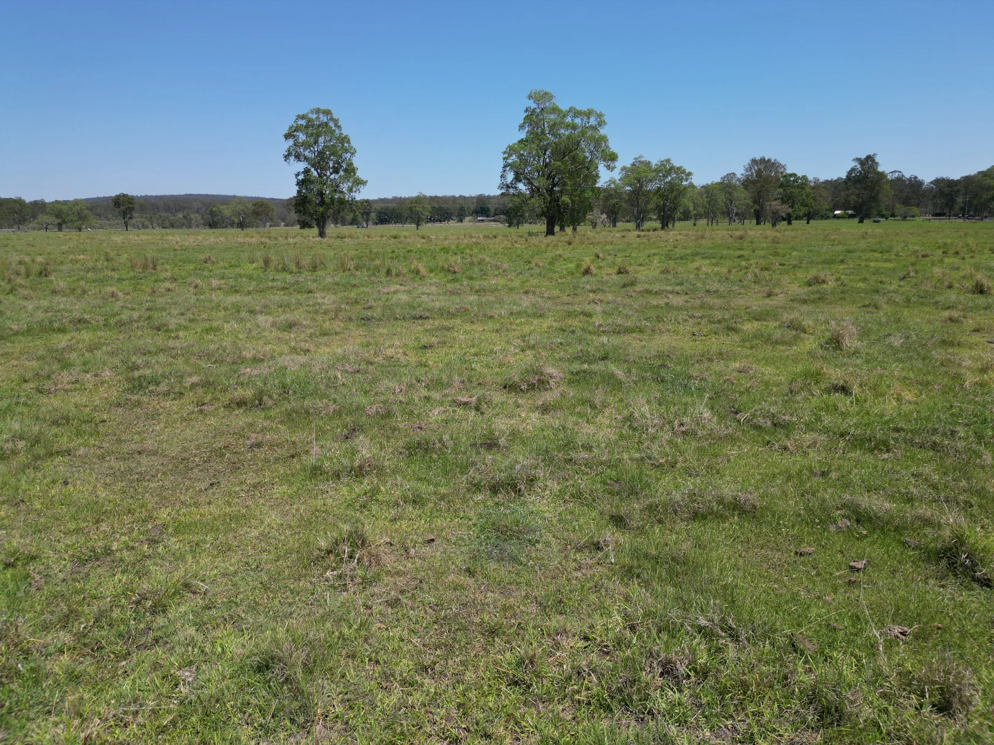 Additional image 12 of 140 Hogarth Range Road, Mongogarie NSW 2470