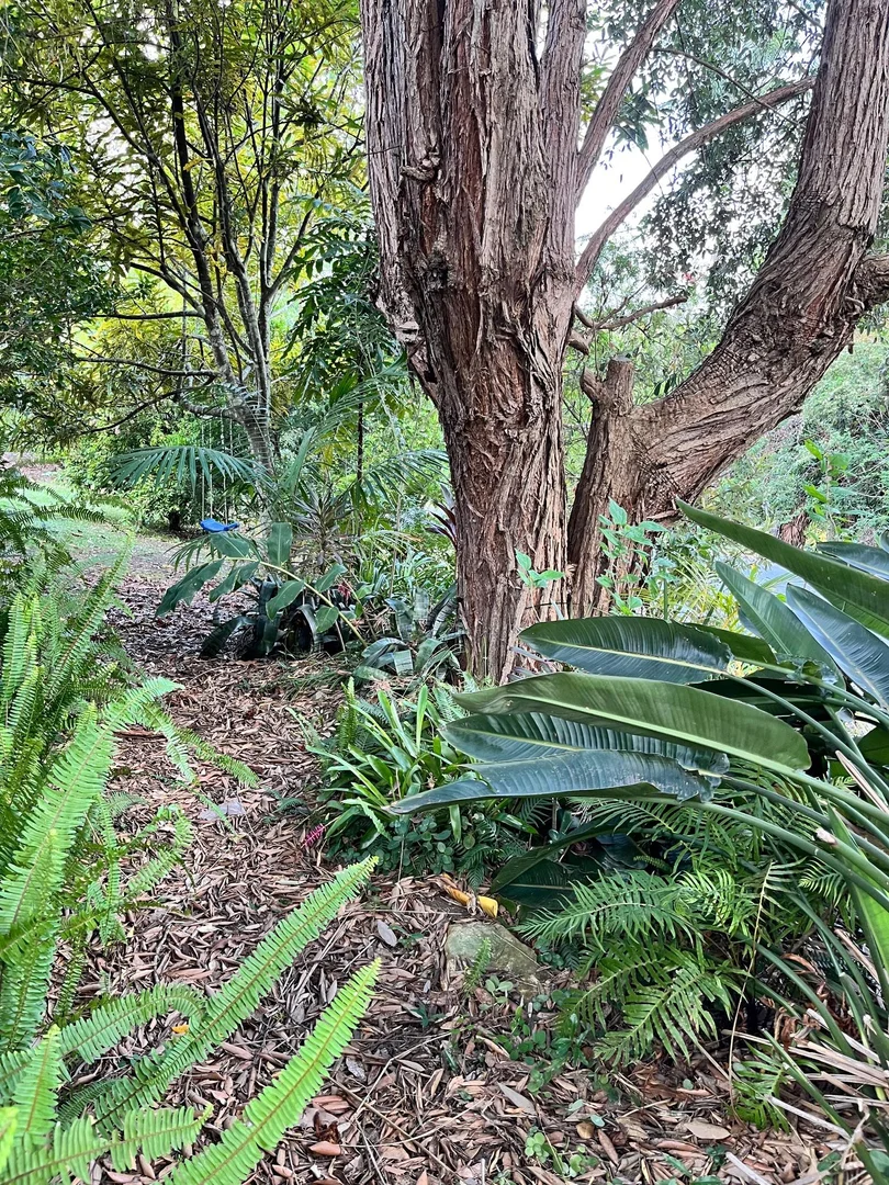 Additional image 13 of 40 Acacia Street, Fishermans Paradise NSW 2539