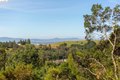 Additional image 23 of 4451 Saint Andrews Rd, Oakland, CA, 94605