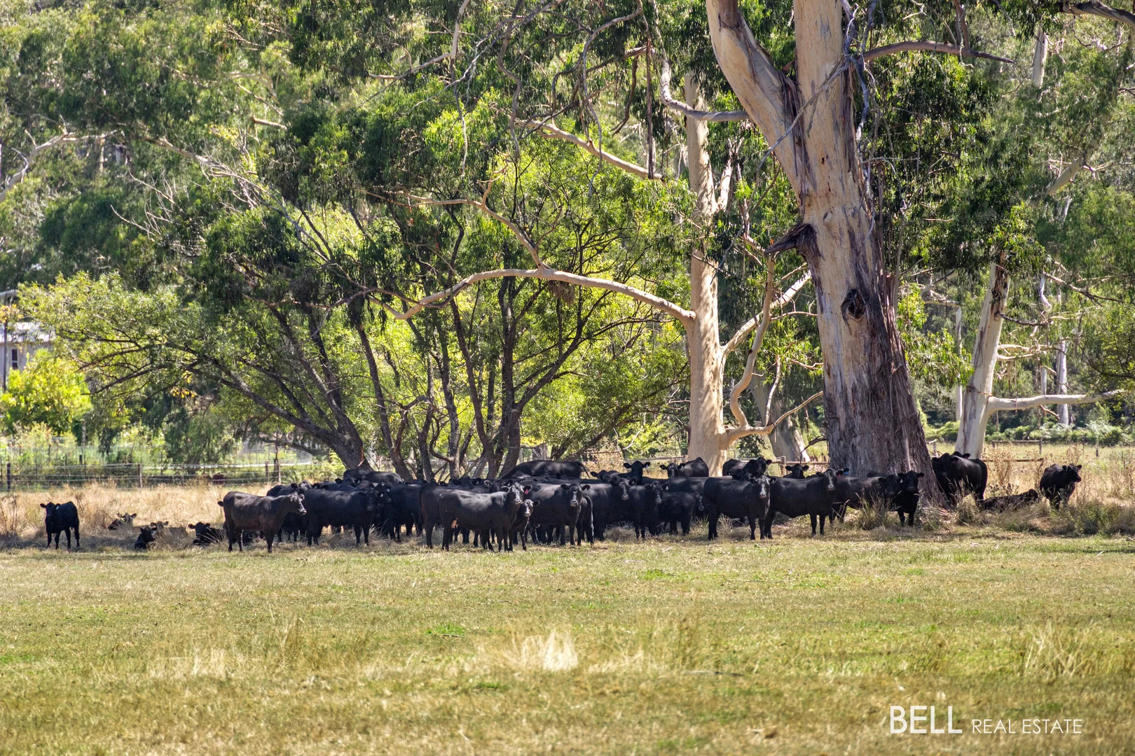 Additional image 13 of 1145 Little Yarra Road, Three Bridges VIC 3797