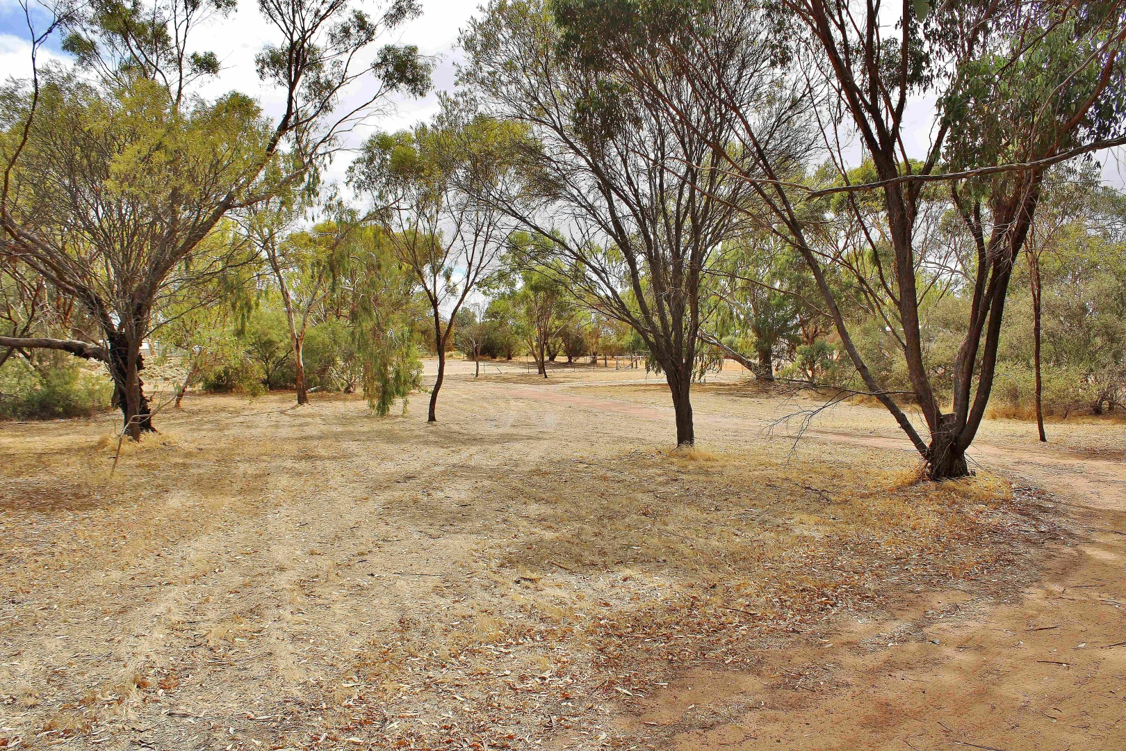 Additional image 33 of 95 CAMPBELL STREET, Cuballing WA 6311