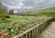 Additional image 4 of Eamont Bridge, Penrith CA10
