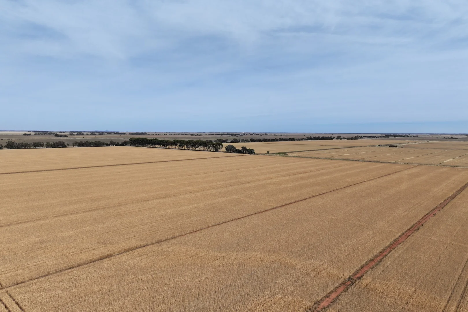 Additional image 13 of 1800 Mt Terrick Road, Roslynmead VIC 3564