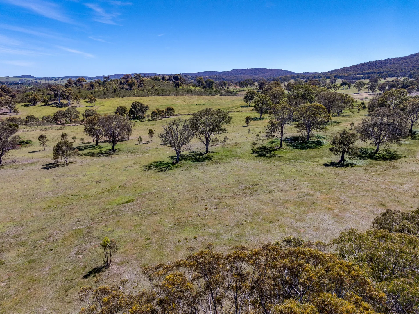 Additional image 5 of 80 - 83/278 Campbells Lane, Goulburn NSW 2580