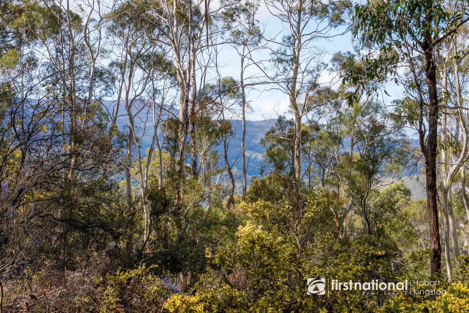 Additional image 10 of Krauses Road, Lower Longley TAS 7109