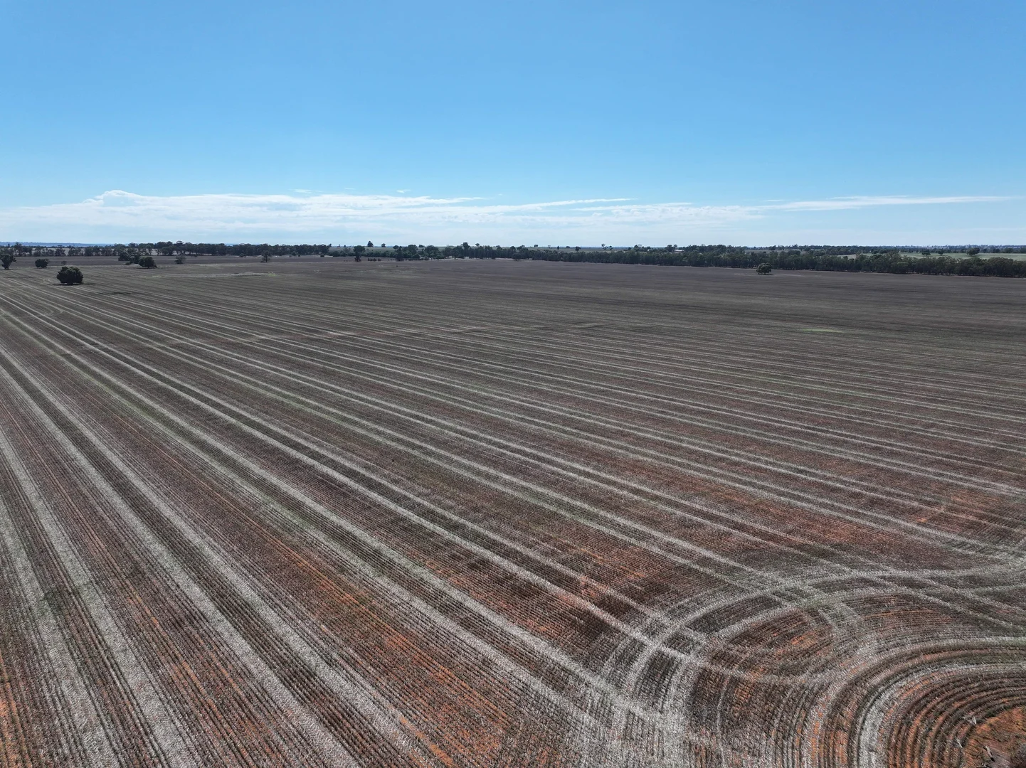 Additional image 10 of Shannonvale & Elmore Strontian Road, Boree Creek NSW 2652