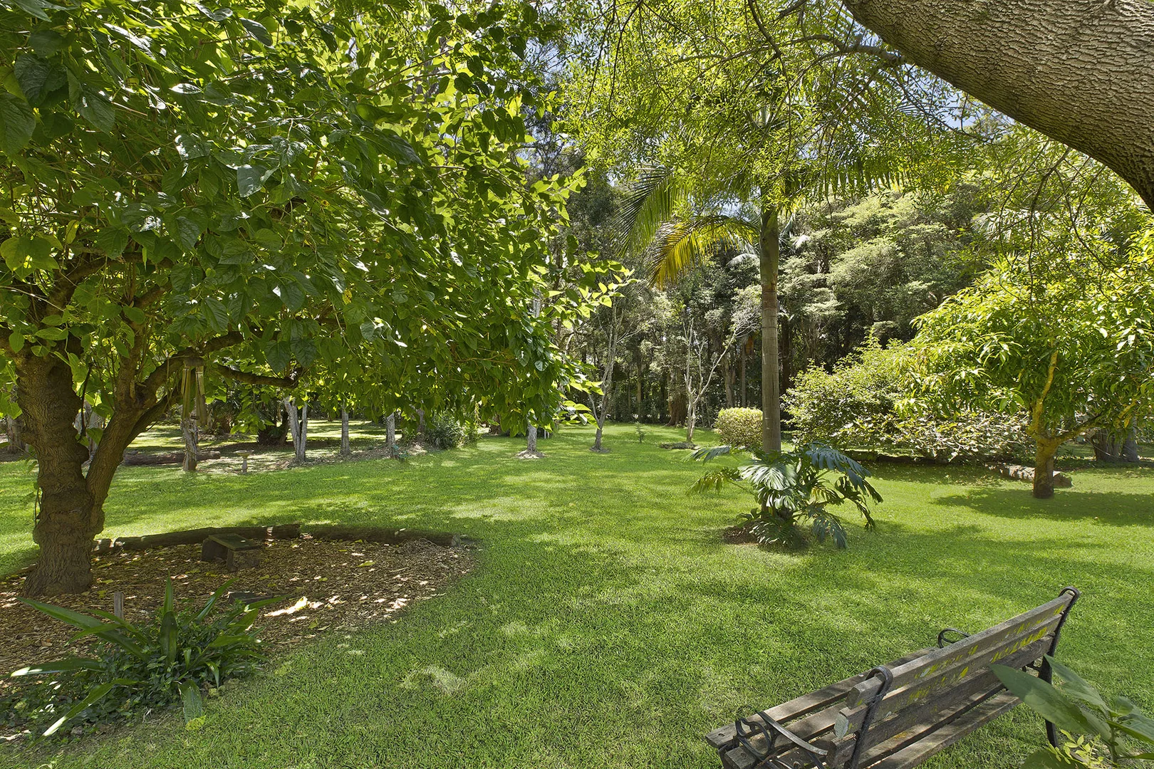 Additional image 34 of 165 Willoughby Road, Wamberal NSW 2260