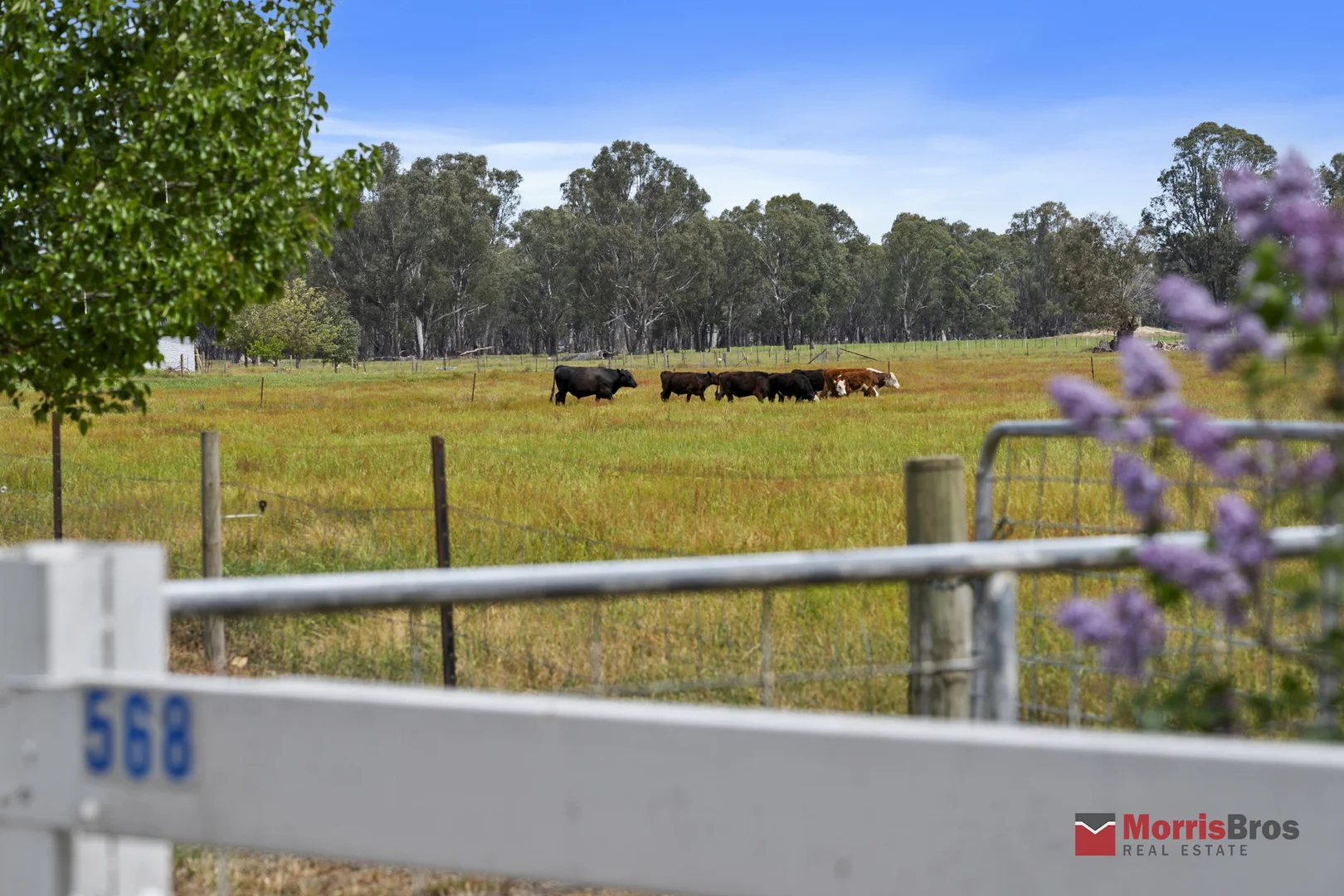 Additional image 27 of 586 Snow Road, Laceby VIC 3678