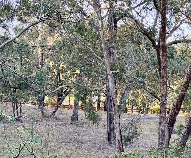 Additional image 21 of 32 L L Road, Officer VIC 3809