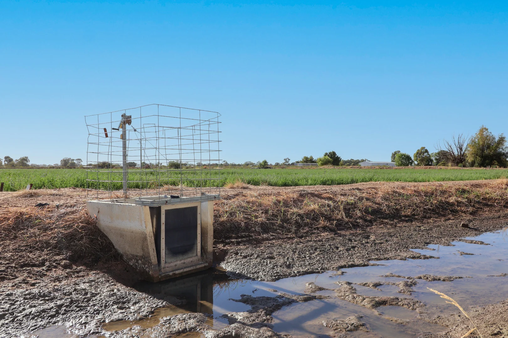 Additional image 15 of 81 Back Boga Road, Swan Hill VIC 3585