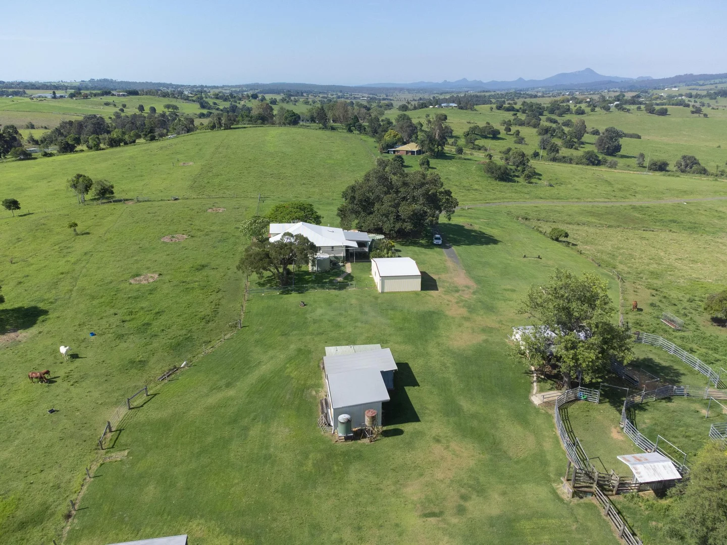 Additional image 31 of 219 Stanfield Rd, Teviotville QLD 4309