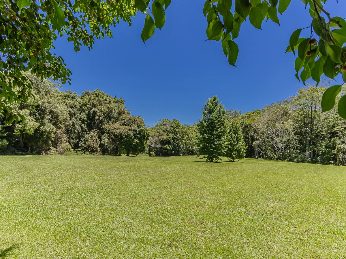 Additional image 5 of 837 Nobbys Creek Road, Nobbys Creek NSW 2484