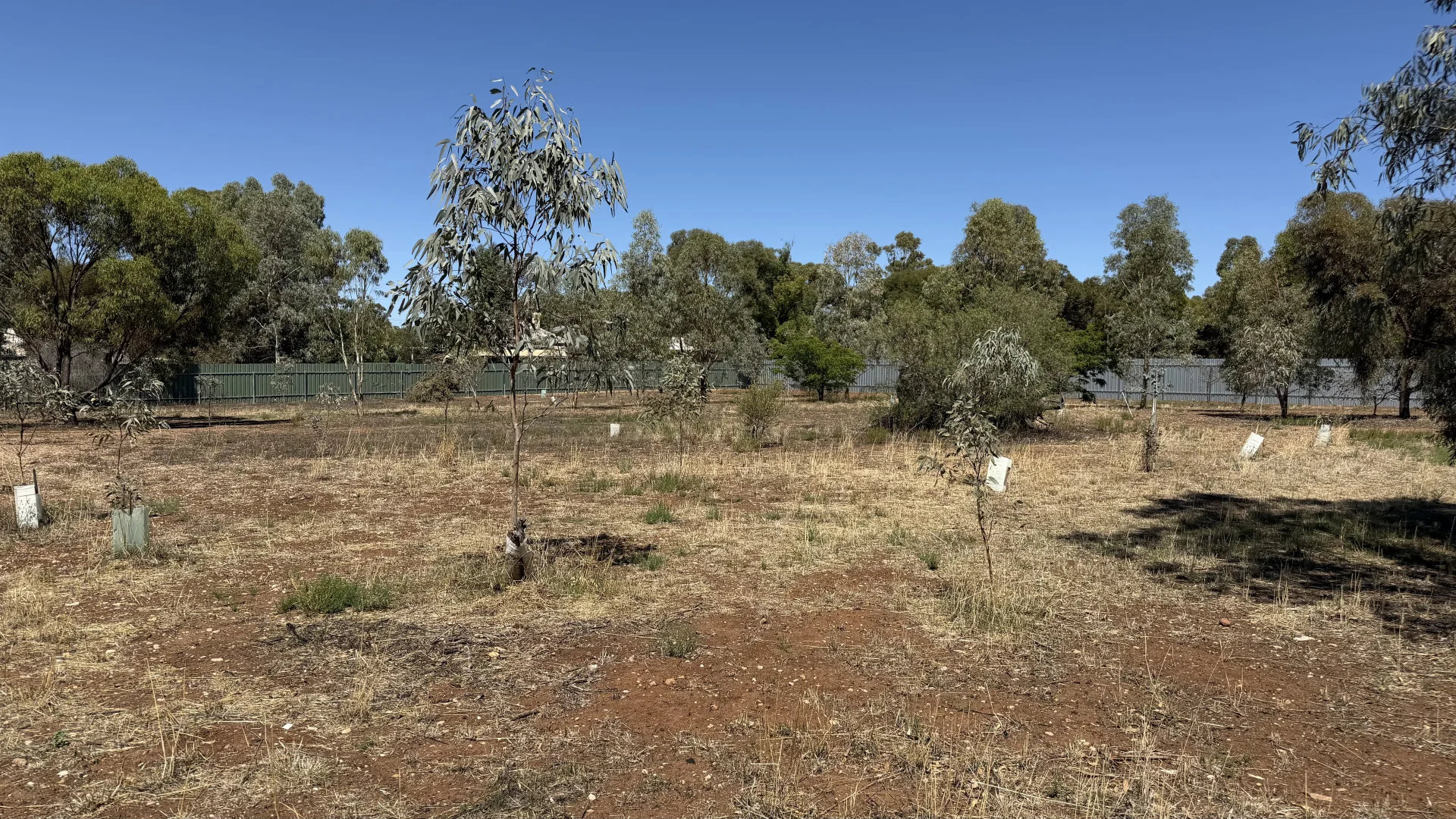 Additional image 7 of Lot 10 Hurtle Street, Georgetown SA 5472