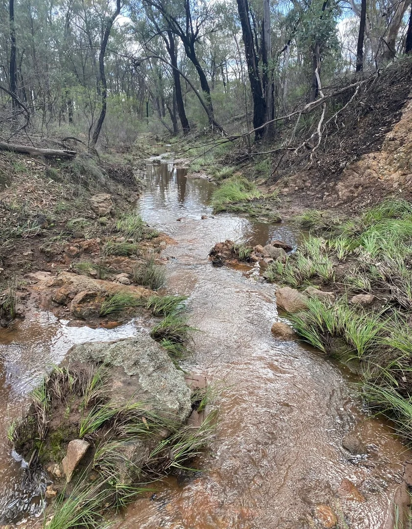 Additional image 19 of 47R Lagoon Creek Road, Minore NSW 2830