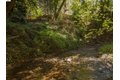 Additional image 52 of 15765 Kings Creek Rd, Boulder Creek, CA, 95006