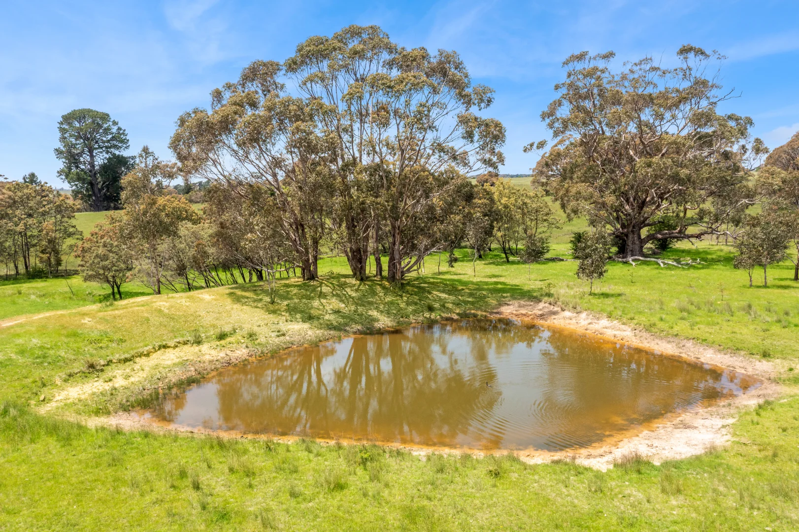 Additional image 6 of 220 Honeysuckle Road, Lauriston VIC 3444